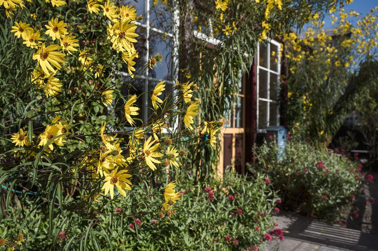 Wanderlust Boutique Rooms Bad Goisern Exterior foto